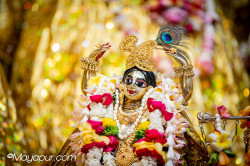 Daily Darshan