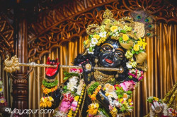 Daily Darshan