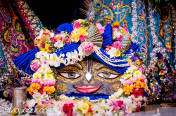 Daily Darshan