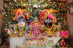 Daily Darshan