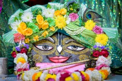 Daily Darshan