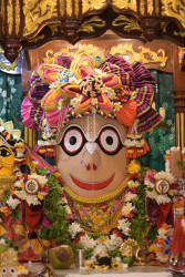 Daily Darshan