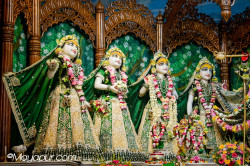Daily Darshan