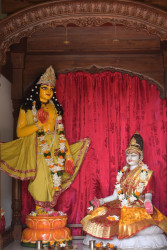 Daily Darshan