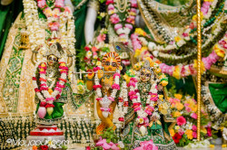Daily Darshan