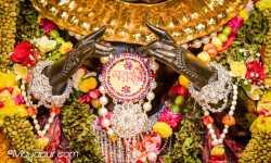 Daily Darshan