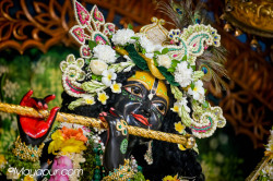 Daily Darshan