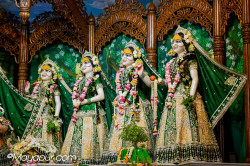 Daily Darshan