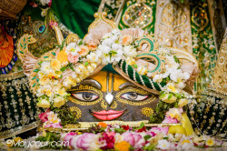 Daily Darshan