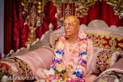 Daily Darshan