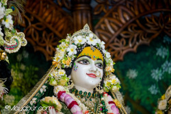 Daily Darshan