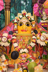 Daily Darshan