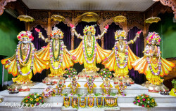 Daily Darshan