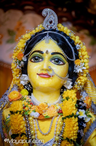 Daily Darshan