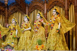 Daily Darshan