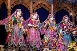 Daily Darshan