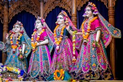 Daily Darshan