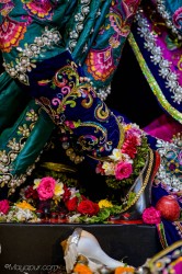 Daily Darshan