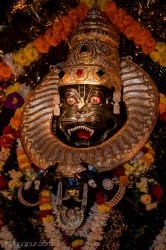 Daily Darshan