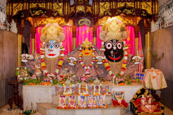Daily Darshan