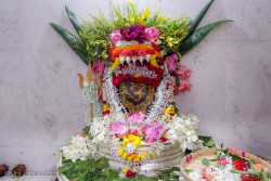 Daily Darshan