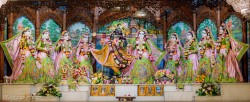 Daily Darshan