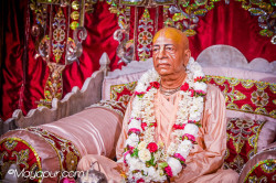 Daily Darshan
