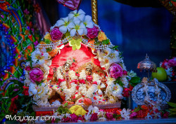 Daily Darshan