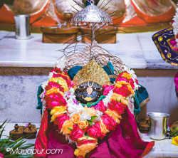 Daily Darshan