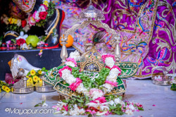Daily Darshan