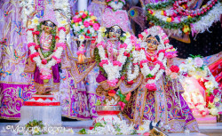 Daily Darshan