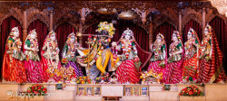 Daily Darshan