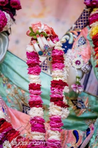 Daily Darshan