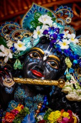 Daily Darshan