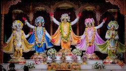 Daily Darshan
