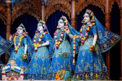 Daily Darshan