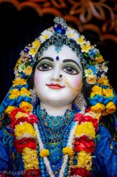 Daily Darshan