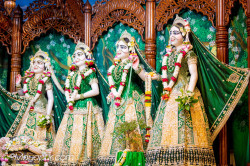 Daily Darshan