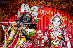 Daily Darshan