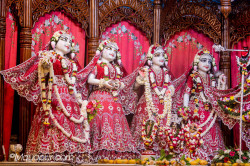 Daily Darshan