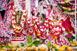 Daily Darshan