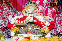 Daily Darshan