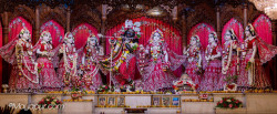 Daily Darshan