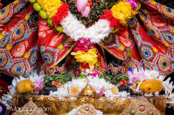Daily Darshan