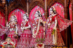Daily Darshan
