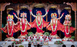 Daily Darshan