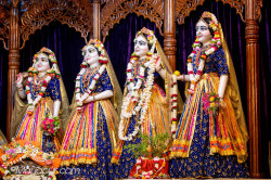Daily Darshan