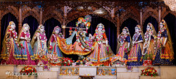 Daily Darshan