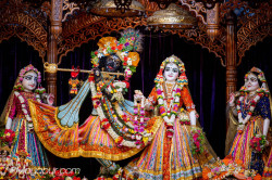 Daily Darshan
