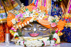 Daily Darshan